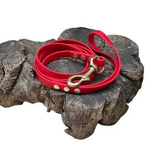 5' USA Made Biothane Dog Leash - 1/2" width waterproof, stink proof - Red/Brass